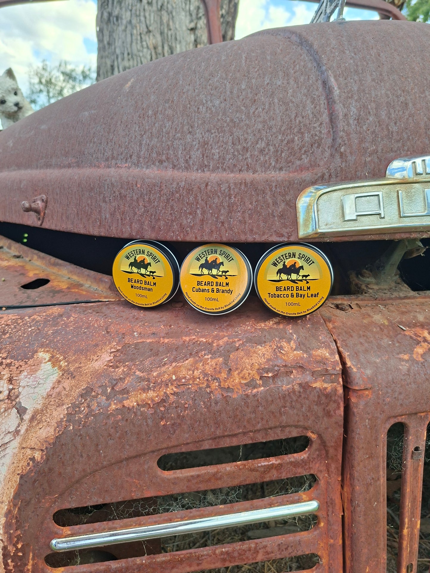 Western Spirit Skin Salve